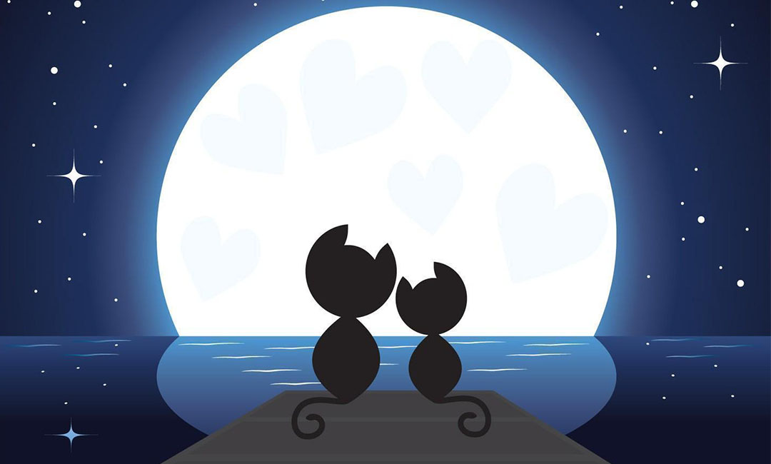 郑州潮客汇微信活动策划案例